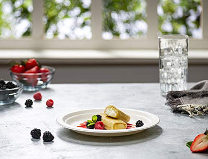GUSTO [9 Inch - 250 Pack Heavy-Duty White Paper Plates, 100% Compostable, Eco-Friendly - Biodegradable Disposable Plates, Sugarcane Paper Plates