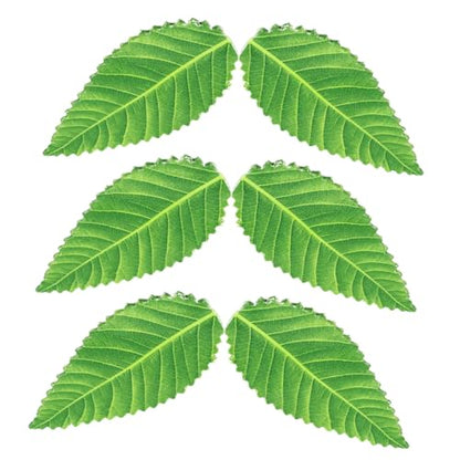 200pcs Reusable Sushi Plate Leaf Ornaments Green Artificial Leaves for Sashimi Dish Decoration Japanese Style Restaurant Sushi Decor for Cold Dishes and Food Photography