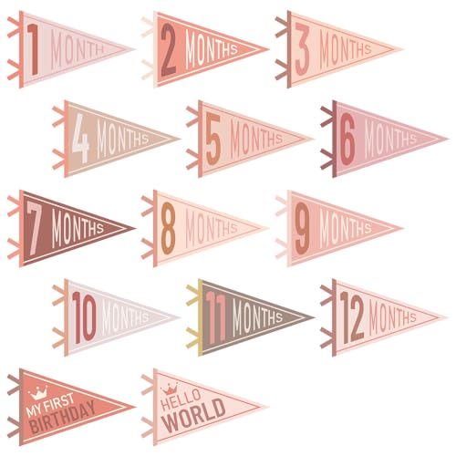 VitalCozy 14 Pcs Baby Milestone Pennant Signs Monthly Milestone Banner Flags Pennant Triangle Banner Age Flag Signs for Boy Girl Newborn Birthday Party Decor(Vivid Colors) - color: Vivid Colors
