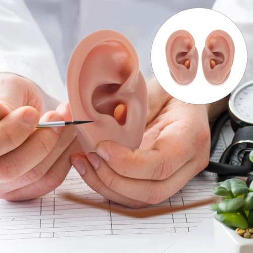 SEWACC Soft Silicone Human Ear Model Pair for Teaching and Piercing Practice Flexible Fake Ear Display Prop Left and Right Coffee Color for Anatomy Study