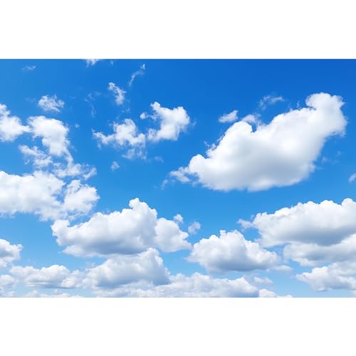 Blue Sky Backdrop Cumulus White Cloudy Blue Sky Photography Background Sky White Clouds Theme Backdrop Decorations for Kid Children Adult Travel Hiking Cake Table Banner Portrait Photo Props 5x3ft - color: Blue_White, size: 5x3ft
