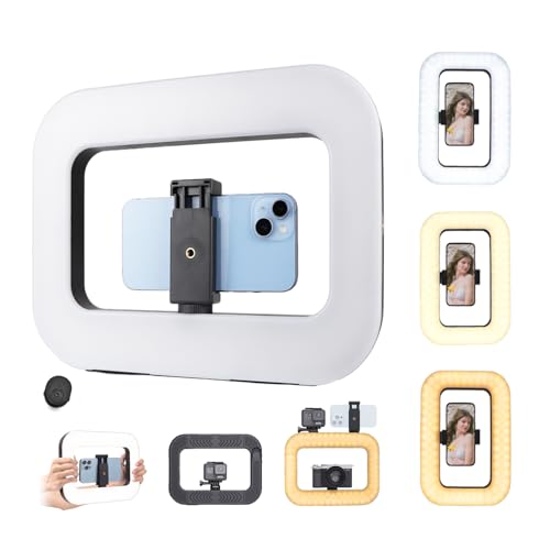 Smartphone Video Rig with Light, Handheld Ring Selfie Light Kit, LED Mobile Video Stabilizer with Built-in 8000mAh Battery for Camera, Smartphone, YouTube, TikTok Video Recording, Makeup - style: LED