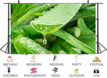 16x10ft Fresh Aloe Vera Backdrop Green Leaf and Gel Texture Background Tapestry for Skincare Bloggers Wellness Events Photography Decorations Photo Shoot Props - size: 16x10ft