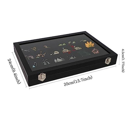 Wudygirl Earring Organizer 24 Grid Jewelry Organizer with Glass Lid Adjustable Jewelry Box Jewelry Display for Rings Necklace Bracelet Earrings Storage（Black 24 Grid） - style: 24 Grid Tray