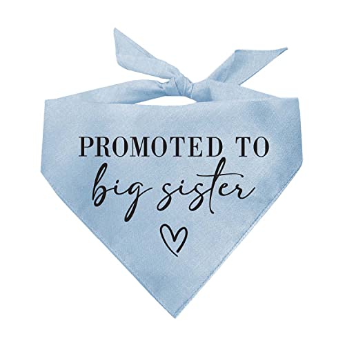 Promoted to Big Sister Dog Bandana | 100% Cotton Adjustable Triangle | Pregnancy Announcement Photoshoot Prop | New Baby Made in USA | Baby Blue One Size (692) - color: Baby Blue, size: One Size