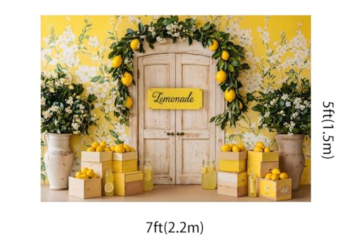 Kate 7x5ft Fresh Lemon Shop Backdrops for Photography Retro Wood Door Lemonade Party Background Baby Gilrs Portrait Photo Studio Backdrop - size: 7x5ft