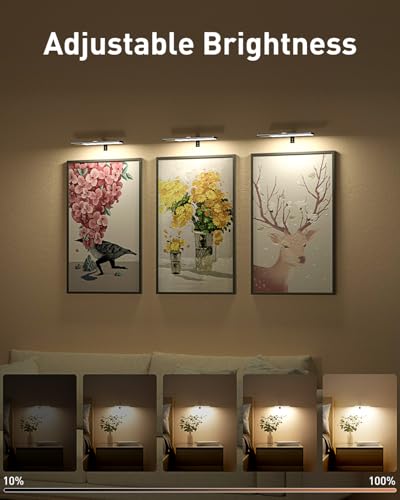 Diomart Picture Lights for Wall, 12'' Dimmable Remote LED Art Light with 15 Color Temps, USB-C Rechargeable Battery Picture Light Wireless, Timer, for Paintings, Canvas, Photos, Bedroom（Black） ﻿