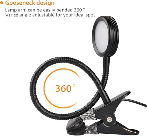 LEPOWER Clip on Light/Reading Lights/Book Light/Desk Lamp Color Changeable/Night Lights Clip on for Desk, Bed Headboard and Computers, Adapter Included (Black) - color: Black
