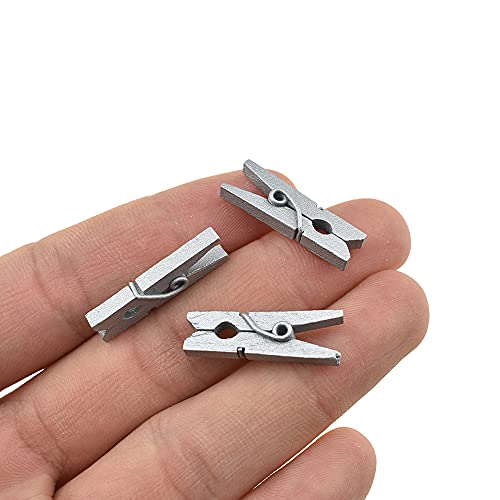 HAHIYO Silver Wooden Clothes Pins Clothespins Mini Do NOT Fall Apart 1 inches Length 80 Pack Sturdy Strong Springs No Rust No Discoloration for Laundry Bathroom DIY Craft Photos Food Opened Bags - size: Silver 1 inches 80 Pack