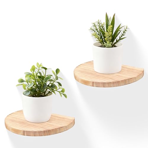 Small Wood Floating Shelves (2-Pack, 8-inch Diameter) - Round Sturdy Invisible Wall Mount Display for Small Plants,Toys,Bathroom,Living Room Storage & Modern Rustic Décor (Carbonized Brown) - color: Carbonized Brown, size: 8 Inch-2 Pcs