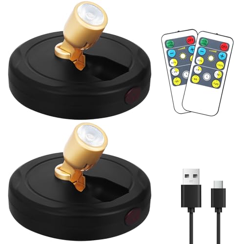 Rechargeable Spotlight, Battery Powered Picture Lights with Remote, Dimmable Plant Spot Light Indoor, Cordless Accent Lighting, LED Uplight for Tree Dartboard Decor Painting Artwork Photo - color: chargeable Black+G