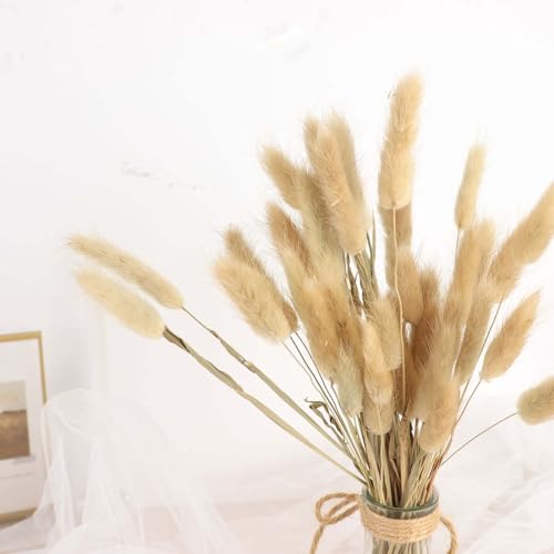 Efavormart 50 Pack 15 inch Natural Beige Rabbit Tail Dried Pampas Grass, Organic Bunny Tail Grass Stems for Minimalist Home Accents and Neutral Boho Decor - color: Natural, size: 15"