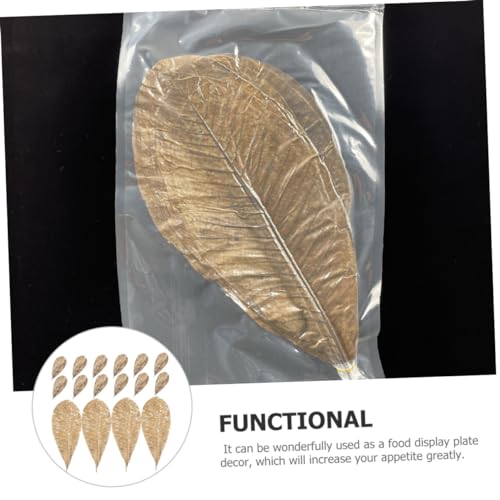 COLLBATH Dried Leaf Sushi Tray Decor 20Pcs Seafood Display Serving Plate Unique Sashimi Background Leaf Embellishments for Food Photography for Restaurants and BBQ