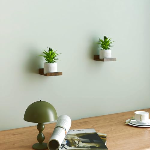 Small Floating Shelves for Wall Decor, Wall Mounted Wood Shelf for Bedroom, Living Room, Bathroom, Kitchen, Nursery, Mini Display Ledge Shelf with Lip Set of 2-4 Inches, Brown - color: Brown, size: 3.9in