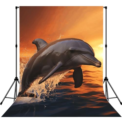 Dusk Dolphin Backdrop Background for Photography 5x7ft Photobooth Professional Photo Backdrop Curtains Video Photography Studio Photo Backgrounds Banner Booth Background Screen Parties - color: Dusk Dolphin