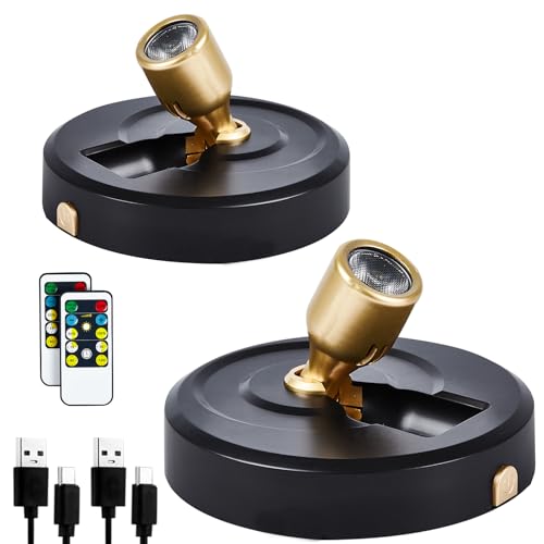 2-Pack Wireless LED Spotlight Rechargeable Picture Lights Indoor, Plant Lamp with 2 Remote, Dimmable Spot Lights with Timmer for Wall Display Painting Dartboard Artwork Accent Closet - color: Rechargeable black+gold, size: 2 Pack