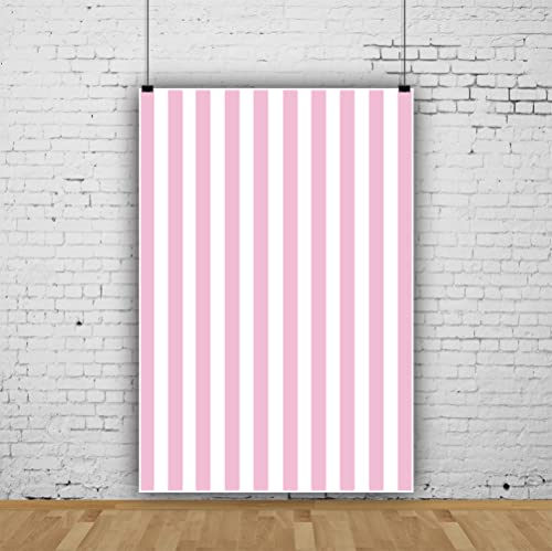 Leyiyi 5x7ft Photography Background Pink and White Stripe Backdrop Happy Birthday Party Vertical Horizontal Stripes Summer Holiday Banquet Baby Shower Blog Make-up Photo Portrait Vinyl Studio Prop - color: Pink,White, size: 5x7ft