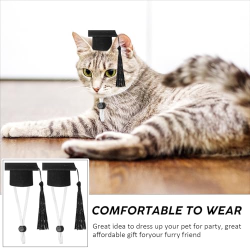 Eccliy 2 Pcs Pet Graduation Caps Mini Bachelor Hats with Tassel for Small Animal Guinea Pigs Hedgehog Bird Turtles Hamster Photo Props Graduation Holiday Festival Party Accessory(Black) - color: Black