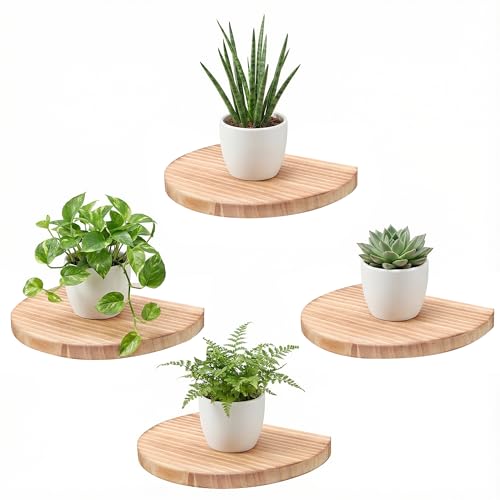 Small Wood Floating Shelves (4-Pack, 8-inch Diameter) - Round Sturdy Invisible Wall Mount Display for Small Plants,Toys,Bathroom,Living Room Storage & Modern Rustic Décor (Carbonized Brown) - color: Carbonized Brown, size: 8 Inch-4 Pcs