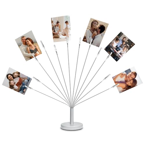 Silver Photo Tree Holder with Metal Base,12 Clips Flexible & Durable Branches Money Trees Gift Card Holder with Clips,Picture Trees to Hold Photos for Christmas Wedding Greeting Birthday Party Gift - color: Silver