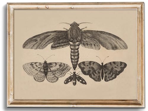uniro Vintage Wall Art Prints, Moody Moth and Butterfly Wall Painting Canvas Prints, Antique Dark Cottage Room Decor Butterfly Sketch Oil Painting, Rustic Neutral Insect Aesthetic Wall Decor Vintage Art Pictures for Bedroom Gallery Bathroom Decor( 8" x 10
