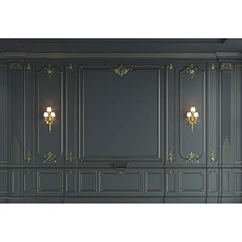 Haoyiyi 8x6ft Interior Wall Backdrop Indoor Empty Room Baroque Black Vintage Elegant European Photography Background Photo Business Office Bedroom Living Room Photo Portrait Studio Prop