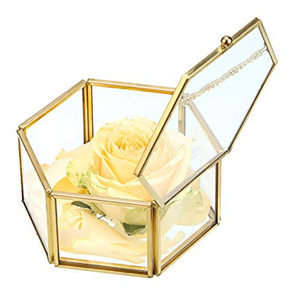 Hipiwe Preserved Flower Glass Box, Hexagon Glass Jewelry Decorative Bin, Ornate Trinket Display Organizer Case Keepsake Box Gift for Women