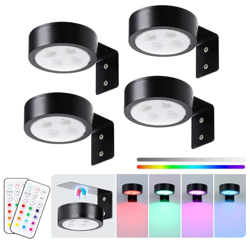 KELUOLY 4-Pack Wireless Battery Operated Painting Light with Remote Control,13 Color RGB Magnetic Led Art Picture Lights for Wall, Dimmable and Timer Poster Light, Wall Decor Black Display Light - color: Black RGB 4 Pack