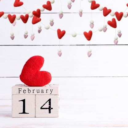Glaciart One Felt Heart Garland – 6 Feet, 20 Hearts, Pom Pom Decorations, Nursery Decor, Bunting, Birthday Party Decorations, Carnival, Photo Prop