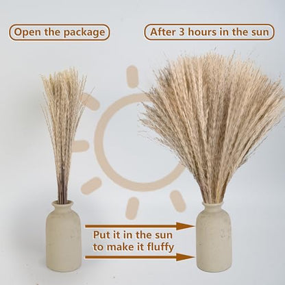 300 PCS Dried Pampas Grass Decor, Dried Flower Bouquets for Wedding, Home, Centerpiece Table, Modern Home, Western Living Room, Nurserie, Nursery, Boho Room, Beach, Women Office, and Boho Decor