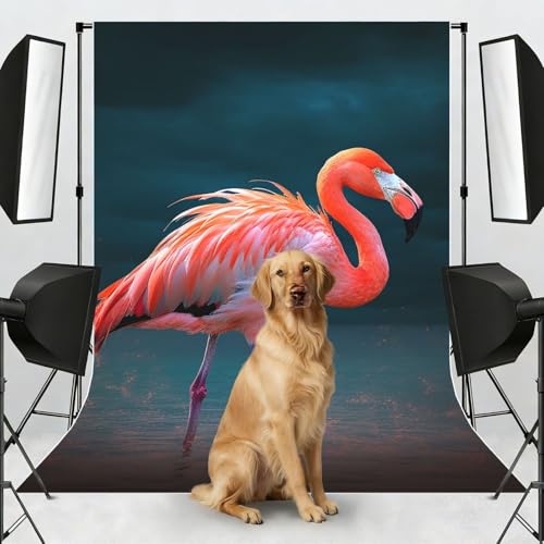 Vivid Flamingo Backdrop Background for Photography 5x7ft Photobooth Professional Photo Backdrop Curtains Video Photography Studio Photo Backgrounds Banner Booth Background Screen Parties - color: Vivid Flamingo
