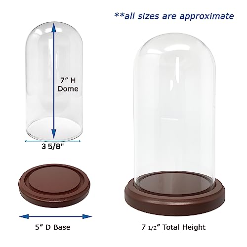 BANBERRY DESIGNS Clear Glass Display Dome with Wooden Base – 7" H x 3.75" W Cloche Bell Jar – 5" Base – Decorative Cover for Figurines, Dolls, Collectibles, Jewelry & Crafts Display Case