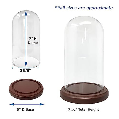 BANBERRY DESIGNS Clear Glass Display Dome with Wooden Base – 7" H x 3.75" W Cloche Bell Jar – 5" Base – Decorative Cover for Figurines, Dolls, Collectibles, Jewelry & Crafts Display Case