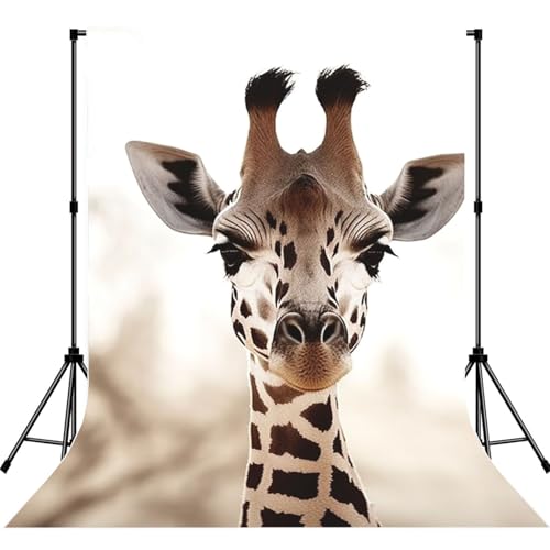 Giraffe Backdrop Background for Photography 5x7ft Photobooth Professional Photo Backdrop Curtains Video Photography Studio Photo Backgrounds Banner BoothScreen Parties - color: Giraffe