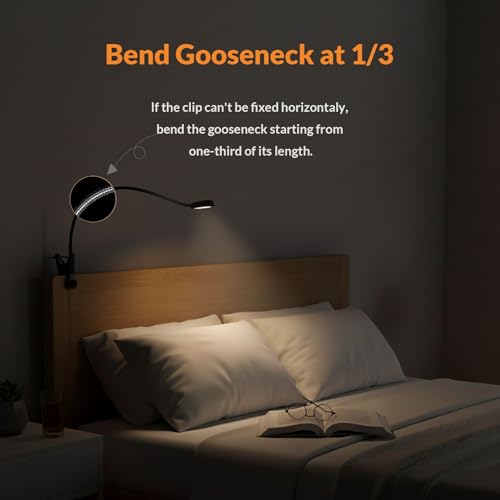 LEPOWER Clip on Light/Reading Lights/Book Light/Desk Lamp Color Changeable/Night Lights Clip on for Desk, Bed Headboard and Computers, Adapter Included (Black) - color: Black