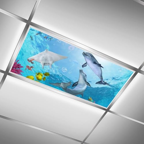 Fluorescent Light Cover for Classroom - 2 Pcs marine life Magnetic Fluorescent Light Covers, Ceiling Light Covers Shade Panel Coverings for Office Classroom Home Drop Ceiling, 4 x 2 Feet - color: color-11