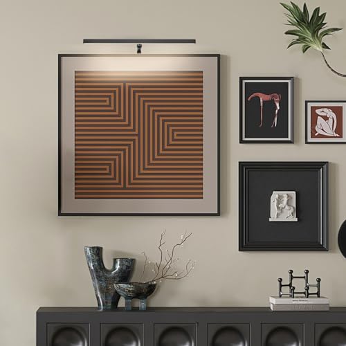 2 Pack Picture Lights for Paintings Plug in, 16" 4W Adjustable LED Picture Light Art Light with Timer, Remote Control Gallery Wall Light for Picture Display Frame Dartboard Art Work (Black) - color: Black, size: 15.7inch,2 pack
