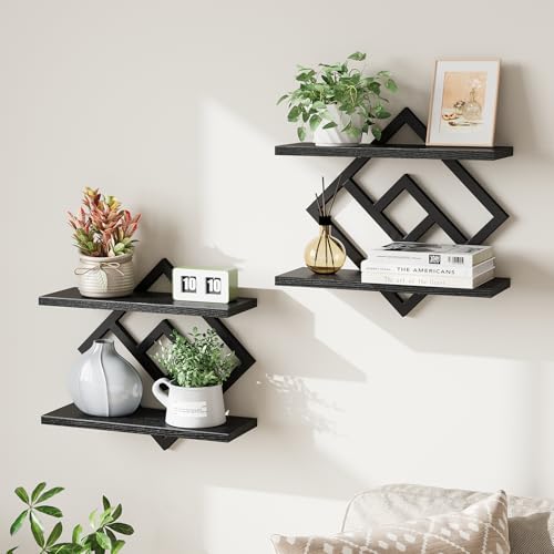 ELYKEN Floating Shelves for Wall, Set of 2 Hanging Shelves, 2-Tier Wall Mounted Storage Shelves for Books & Decor, Perfect for Living Room, Bedroom, Kitchen, Home Office, Study, Black - color: Black, size: 2 PCS