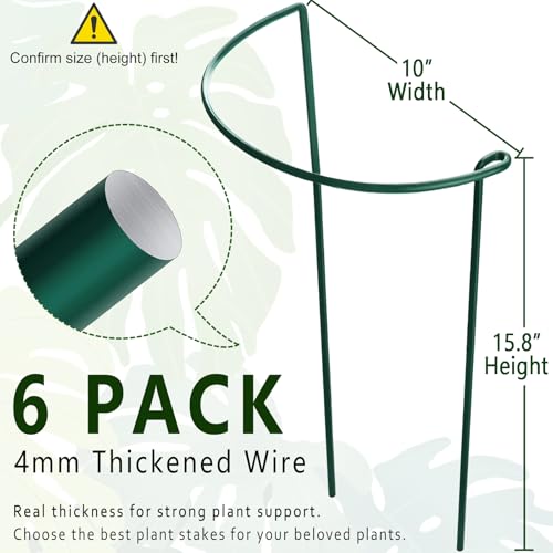 6 Pack Plant Support Stakes, 15.8" Half Round Metal Garden Plant Supports for Indoor Plants, Green Plant Cage Ring for Monstera, Peony, Hydrangea, Potted Plant Holder Sticks (10" Wide) - color: 10"W x 15.8"H
