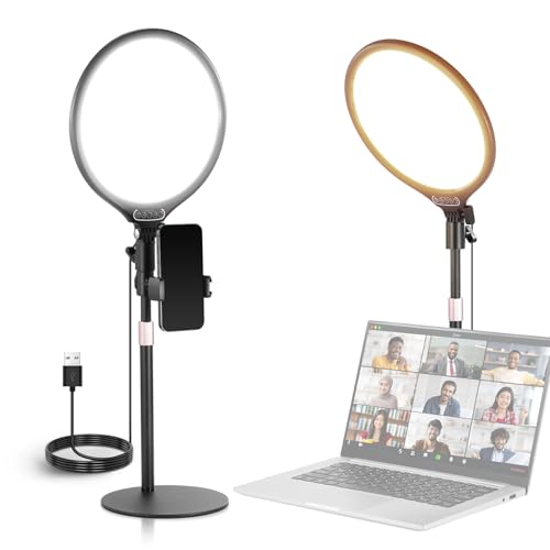 NEEWER Basics 10.5" Desk Ring Light with Stand/Phone Holder/Timer, 3000-6500K Full Screen 15W LED Selfie Panel Lighting for iPhone Recording Streaming Makeup Laptop Webcam Video Conference Zoom, R10 - color: Black, size: 10.5"