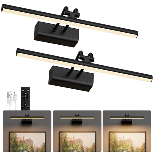 Battery Operated Wall Light for Living Room Picture Light for Wall Set of 2, 4000 mAh, 14'' Dimmable Art Painting Light, Remote Control, Display for Gallery, Living Room, Bedroom (Black) - color: Black, size: 2Pack-13.8Inch
