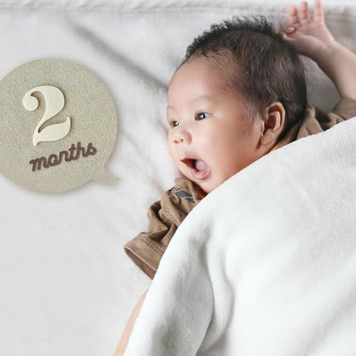 Felt Speech Bubble Baby Monthly Milestone Signs, First Year Baby Photo Prop | Birth Announcement, Growth Tracking, Gender Neutral Baby Shower, Newborn Gift (Neutral) - color: Neutral
