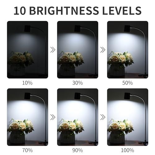 Dott Arts Desk Lamp,USB Clip On Light with 3 Color Modes,LED 10 Levels Brightness Reading Lamp, 360° Gooseneck Book Light,Eye-Care Reading Light for Home Office,Headboards Brown - color: Brown