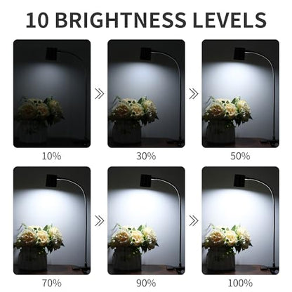 Dott Arts Desk Lamp,USB Clip On Light with 3 Color Modes,LED 10 Levels Brightness Reading Lamp, 360° Gooseneck Book Light,Eye-Care Reading Light for Home Office,Headboards Brown - color: Brown