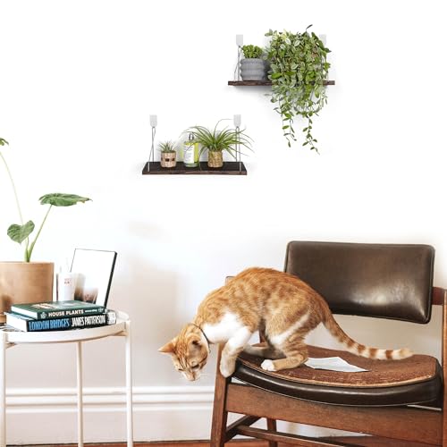 Floating Shelves Set of 2 Rustic Solid Wood Floating Shelf Wall Storage Shelves for Living Room, Bedroom, Bathroom, Kitchen Laundry, Office,no Drill Shelf(Retro Color M+M) - color: Retro Color, size: M+M