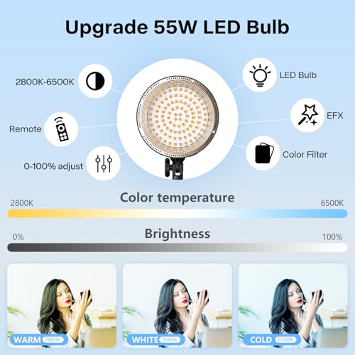 Softbox Photography Lighting Kit, 2Pcs 25" x 28" 75W COB LED Softbox with Remote, 2700K-5600K, Adjustable Light Stands & Gel Filters, Portable Photography & Video Kit for Studio Lights