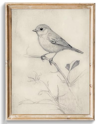 uniro Vintage Bird Sketch Wall Art Prints Farmhouse Decor Sparrow on a Branch Sketch Canvas Oil Painting Antique Bird Neutral Vintage Artwork Pictures for Bedroom Living Room Decor (8" x 10"-UNFRAMED) - color: Bird Sketch