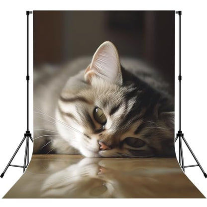Sleeping Cat Backdrop Background for Photography 5x7ft Photobooth Professional Photo Backdrop Curtains Video Photography Studio Photo Backgrounds Banner Booth Background Screen Parties - color: Sleeping Cat