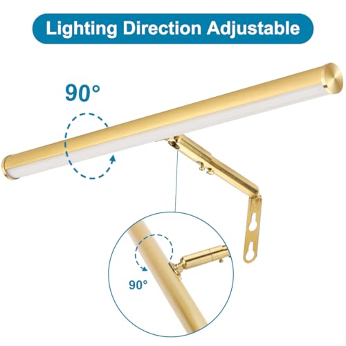 LED Picture Lights for Paintings Plug in, Adjustable Art Light Gallery Wall Light for Display Art Work, 16inch 6W 3000K Warm White, Gold Finish CRI80+ - color: Gold, size: 16 inch