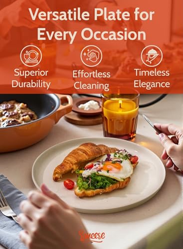 Sweese Porcelain Dinner Plates Set, 10 Inch, Round Salad Plates, Dove Gray - Dishwasher, Microwave Oven Safe - color: Light Grey, size: 10 Inch